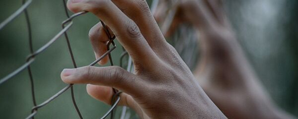 ხელები ცხაურზე  - Sputnik საქართველო