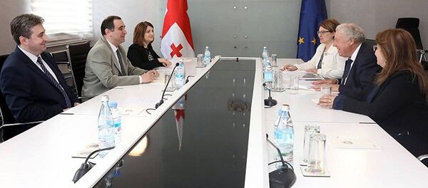 Встреча Михаила Чхенкели и Сиерда Клотинга Встреча Михаила Чхенкели и Сиерда Клотинга - Sputnik Грузия