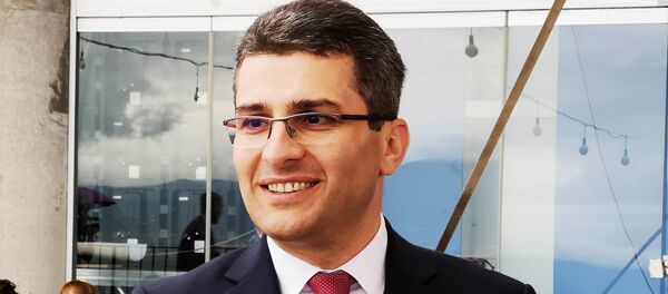 მამუკა მდინარაძე - Sputnik საქართველო