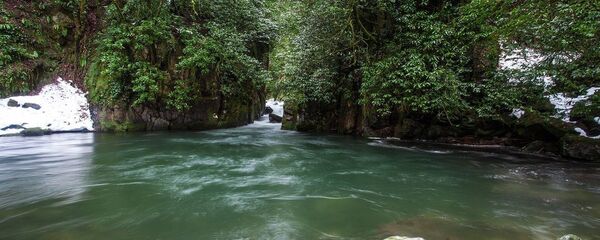 მტირალას ეროვნული პარკი მტირალას ეროვნული პარკი - Sputnik საქართველო