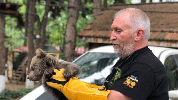 Директор Тбилисского зоопарка держит в руках медвежонка - Sputnik Грузия