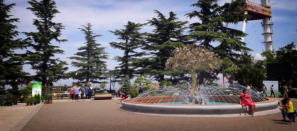 Цветочный фестиваль в парке Мтацминда Цветочный фестиваль в парке Мтацминда - Sputnik საქართველო