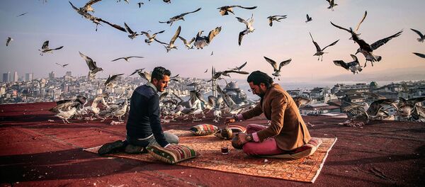 ფოტოგრაფი სებნემ კოსკუნის ფოტო საუზმე შესვენებაზე ფოტოგრაფი სებნემ კოსკუნის ფოტო საუზმე შესვენებაზე - Sputnik საქართველო