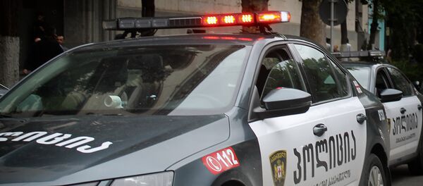 საპატრულო პოლიცია საპატრულო პოლიცია - Sputnik საქართველო