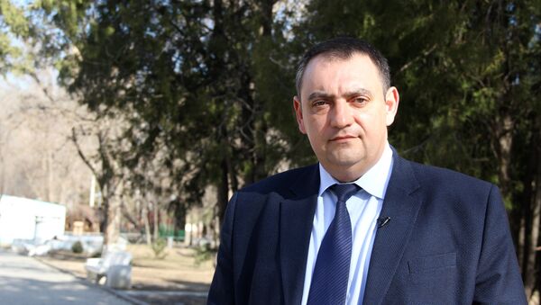 Председатель комитета по подготовке и проведению матчей чемпионата Аркадий Грушко - Sputnik Грузия
