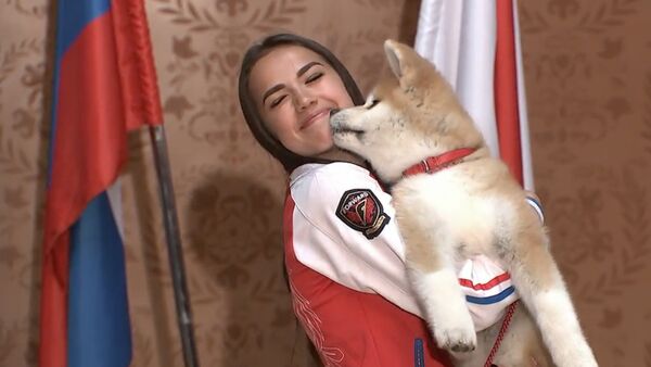 Алине Загитовой подарили щенка породы акита-ину - Sputnik Грузия