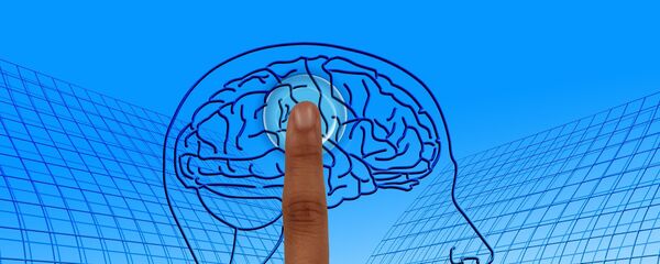 თავის ტვინი - Sputnik საქართველო