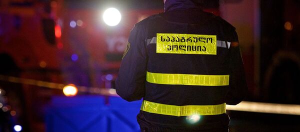 პოლიცია პოლიცია - Sputnik საქართველო