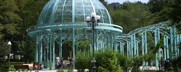 ბორჯომის პარკი ბორჯომის პარკი - Sputnik საქართველო