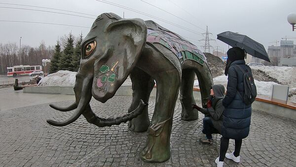 Увидеть в Самаре слона и загадать желание - Sputnik Грузия