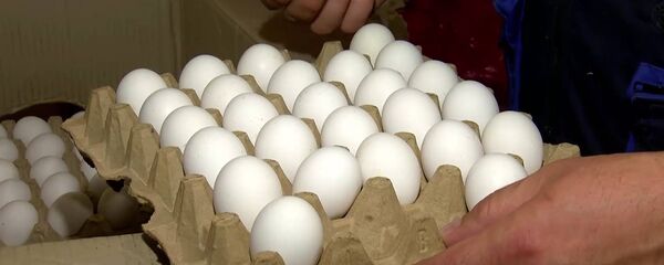 კვერცხი - Sputnik საქართველო