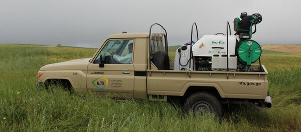 Машина Национального агентства продовольствия - Sputnik Грузия