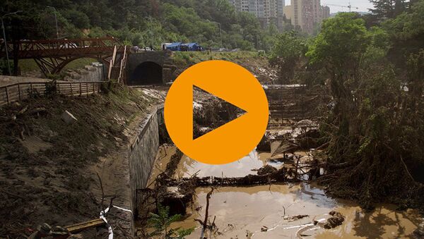 Тбилисская трагедия. Следы разрушительного наводнения ЛОНГРИД - Sputnik Грузия