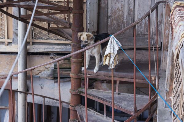 Дом священника - Sputnik Грузия