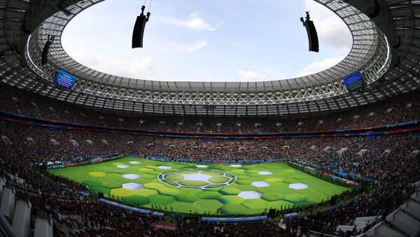 На стадионе Лужинки перед началом матча группового этапа чемпионата мира по футболу между сборными России и Саудовской Аравии - Sputnik Грузия