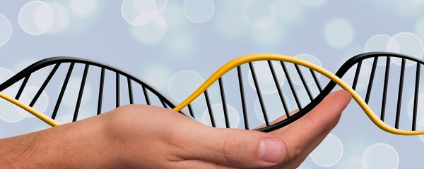 დნმ დნმ - Sputnik საქართველო