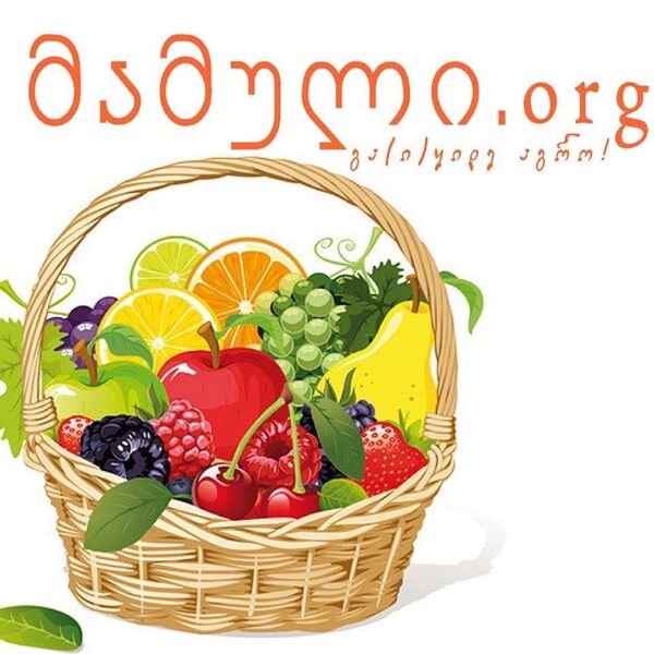 გიორგი ბეკოშვილი და მისი ვებ-გვერდი მამული გიორგი ბეკოშვილი და მისი ვებ-გვერდი მამული - Sputnik საქართველო