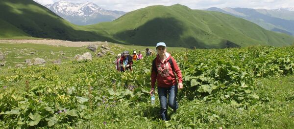 ქეთი მგალობლიშვილი ქეთი მგალობლიშვილი - Sputnik საქართველო