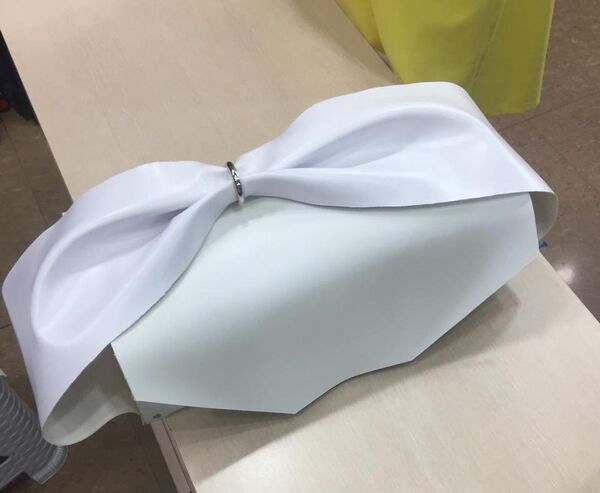 ჩანთა ჩანთა - Sputnik საქართველო