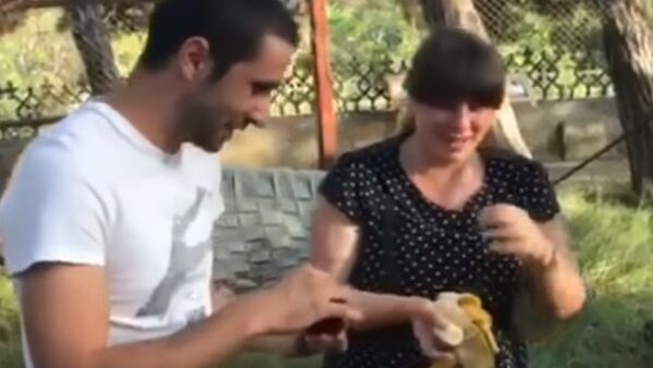 Предложение руки и сердца в Тбилисском зоопарке - Sputnik Грузия