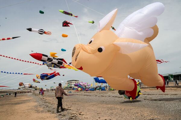 ფრანების ფესტივალზე Catch The Wind Kite Festival ათობით ადამიანი მონაწილეობდა - Sputnik საქართველო