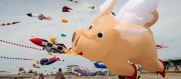 Фестиваль воздушных змеев в Великобритании - Sputnik Грузия