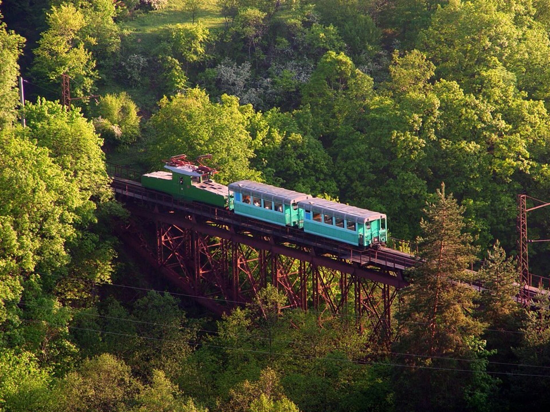 Кукушка, которая ходит между курортами Боржоми и Бакуриани - Sputnik Грузия, 1920, 08.04.2026