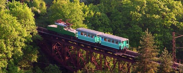 Кукушка, которая ходит между курортами Боржоми и Бакуриани - Sputnik Грузия