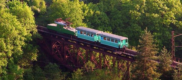 Кукушка, которая ходит между курортами Боржоми и Бакуриани - Sputnik Грузия