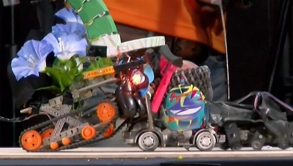 Поединок роботов-сумоистов сняли на видео - Sputnik Грузия