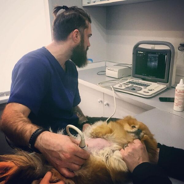 სერგო ოსიპოვი სერგო ოსიპოვი - Sputnik საქართველო