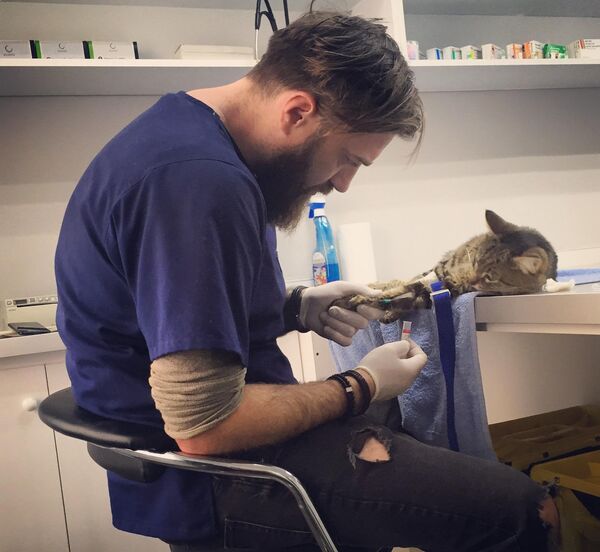 სერგო ოსიპოვი სერგო ოსიპოვი - Sputnik საქართველო