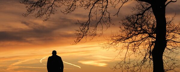 მამაკაცი ჩამავალი მზის ფონზე მამაკაცი ჩამავალი მზის ფონზე - Sputnik საქართველო