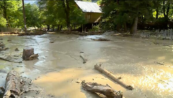 Наводнение в Сванетии в селе Чубери, река Ненскра вышла из берегов - Sputnik Грузия