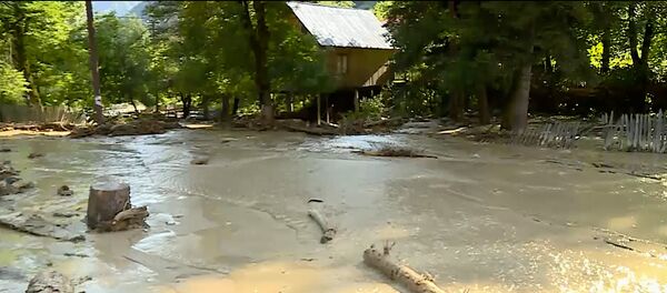 ადიდებული მდინარე ადიდებული მდინარე - Sputnik საქართველო