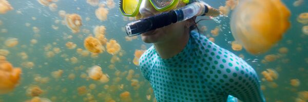 Подводное плавание в озере медуз на Палау - Sputnik საქართველო