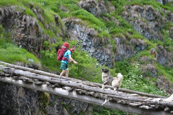 ნიკა მექერიშვილი ნიკა მექერიშვილი - Sputnik საქართველო