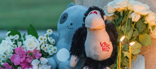 Гражданская панихида у посольства США - Sputnik Грузия