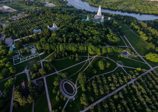 Стройные ряды ровно постриженных кустарников можно встретить и в Москве. В особенно большом количестве их высаживают в столичных парках, заповедниках и на территориях бывших усадеб, например, в Коломенском или Кусково - Sputnik Грузия