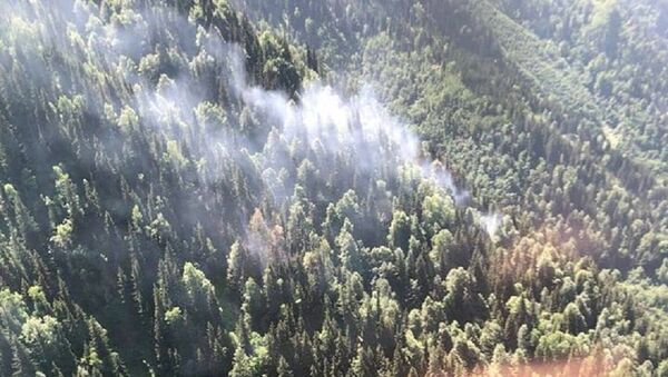Пожар в лесу Зесхо - Sputnik Грузия
