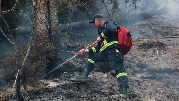 Пожарный борется с огнем в лесу в горах Грузии - Sputnik Грузия