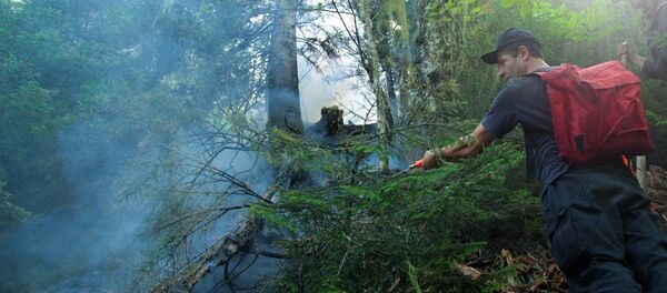 ხანძარი ხანძარი - Sputnik საქართველო