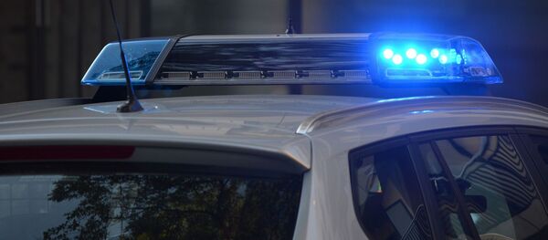 საპატრულო პოლიცია საპატრულო პოლიცია - Sputnik საქართველო