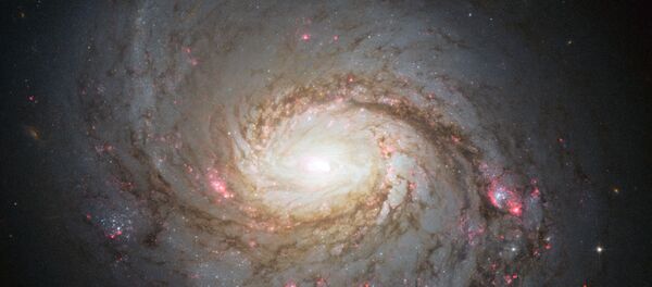 კოსმოსი კოსმოსი - Sputnik საქართველო