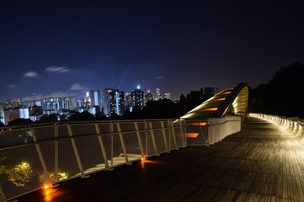 Мост Волны Хендерсона - самый высокий в Сингапуре пешеходный мост, он поднят над землей на 36 метров. В основе моста находятся семь кривых волнистых ребер из стали, поочередно возвышающихся над палубой, придавая мосту форму волны. Особенно красиво мост выглядит ночью, когда включается  подсветка, создавая множество загадочных теней – это действительно потрясающее зрелище - Sputnik Грузия