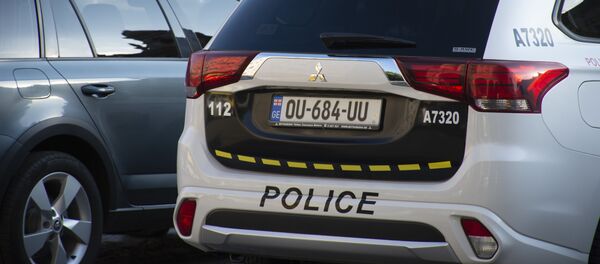 Патрульная полиция Патрульная полиция - Sputnik Грузия