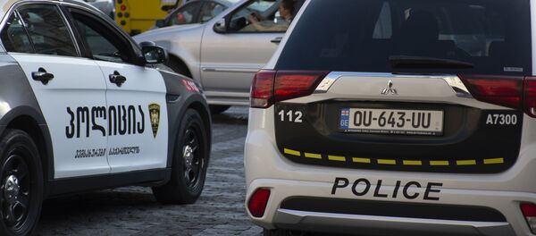 საპატრულო პოლიცია - Sputnik საქართველო