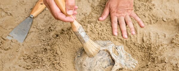 არქეოლოგიური გათხრები არქეოლოგიური გათხრები - Sputnik საქართველო