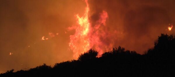 Пожар в Греции - Sputnik Грузия