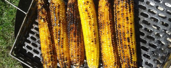 შემწვარი სიმინდი - Sputnik საქართველო